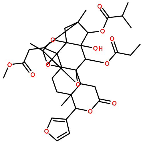 NSC304410