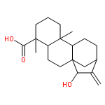 (5β,8α,9β,10α,13α,15β)-15-Hydroxykaur-16-en-18-oic acid