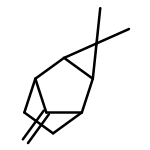 3,3-dimethyl-8-methylidenetricyclo[3.2.1.0~2,4~]octane