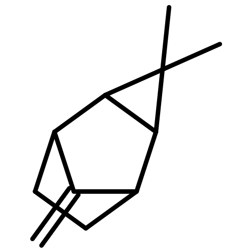 3,3-dimethyl-8-methylidenetricyclo[3.2.1.0~2,4~]octane