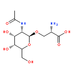 TN ANTIGEN