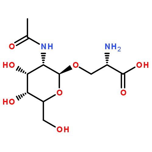 TN ANTIGEN