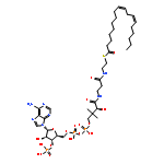 Coenzyme A,S-(9Z,12Z)-9,12-octadecadienoate