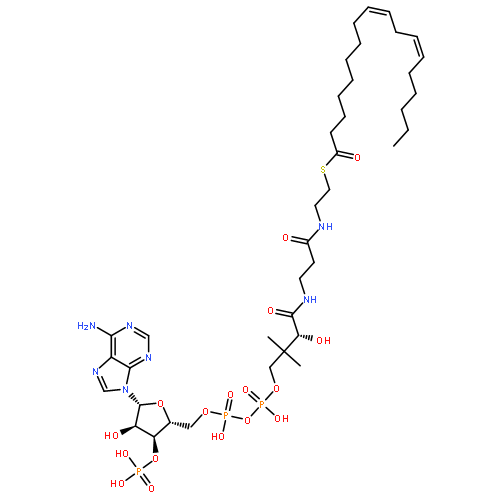 Coenzyme A,S-(9Z,12Z)-9,12-octadecadienoate