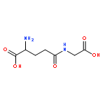 gamma-Glutamyl--glycin