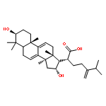 Dehydrotumulosic acid