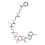 benzoyl-CoA