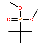 PHOSPHONIC ACID, (1,1-DIMETHYLETHYL)-, DIMETHYL ESTER