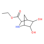 Ethyl (2s)-5,6-dihydroxy-3-azabicyclo[2.2.1]heptane-2-carboxylate