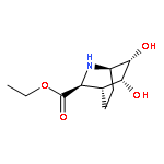 2-Azabicyclo[2.2.2]octane-3-carboxylic acid, 5,6-dihydroxy-, ethyl ester, (1R,3S,4R,5R,6S)- (9CI)