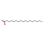 16-sulfanylhexadecanoic Acid