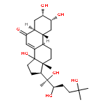 Rhapontisterone B