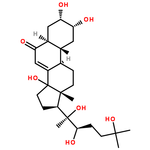 Rhapontisterone B