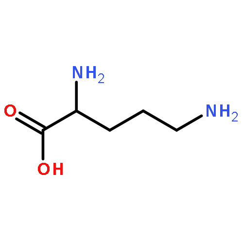 Ornithine