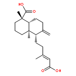 1-Naphthalenecarboxylicacid,5-[(3E)-4-carboxy-3-methyl-3-buten-1-yl]decahydro-1,4a-dimethyl-6-methylene-,(1S,4aR,5S,8aR)-