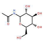 Acetamide, N-b-D-glucopyranosyl-