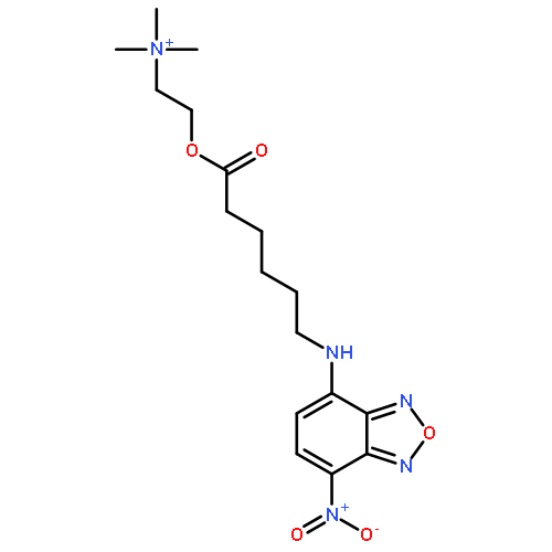 TRIMETHYL-[2-[6-[(4-NITRO-2,1,3-BENZOXADIAZOL-7-YL)AMINO]HEXANOYLOXY]ETHYL]AZANIUM 