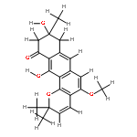 Vismion B