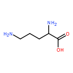 2,5-DIAMINOPENTANOIC ACID