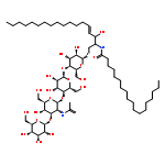 ASIALOGANGLIOSIDE-GM1 