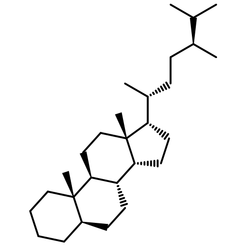 ALPHA, BETA, BETA 20R 24S-METHYLCHOLESTANE 