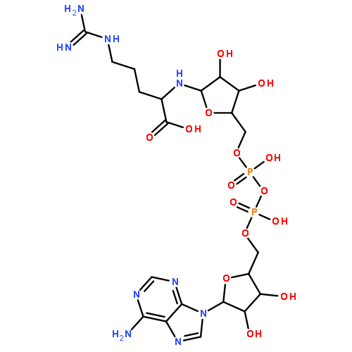 2-[[5-[[[[5-(6-aminopurin-9-yl)-3,4-dihydroxy-tetrahydrofuran-2-yl]methoxy-hydroxy-phosphoryl]oxy-hydroxy-phosphoryl]oxymethyl]-3,4-dihydroxy-tetrahydrofuran-2-yl]amino]-5-guanidino-pentanoic acid