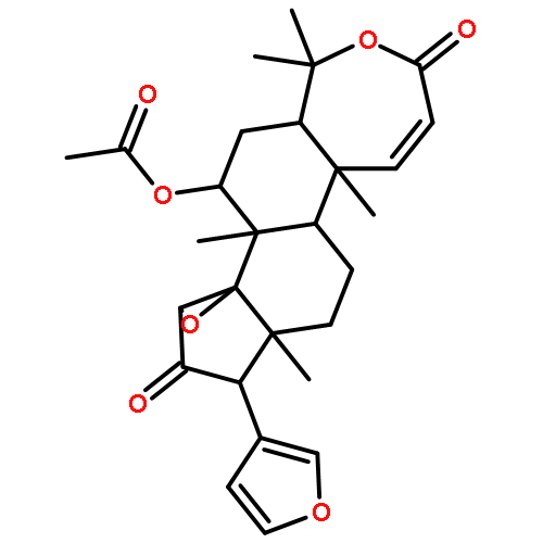 EVODULONE 