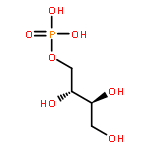 erythritol 4-phosphate