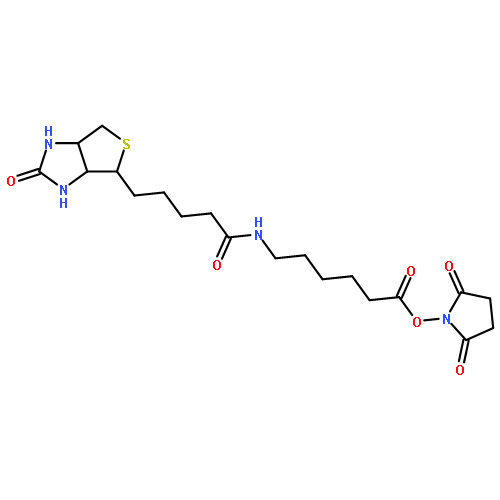 SUCCINIMIDYL 6-(BIOTINAMIDO)HEXANOATE 