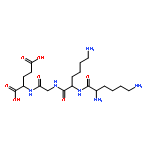 LYS-LYS-GLY-GLU 