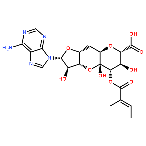 9-{6,10-anhydro-5-deoxy-8-O-[(2E)-2-methylbut-2-enoyl]-beta-D-arabino-alpha-L-ido-undec-7-ulopyranosefuranuronosyl}-9H-purin-6-amine