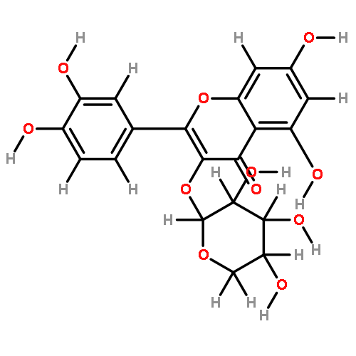 3-O-Arabinopyranoside-3,3',4',5,7-Pentahydroxyflavone