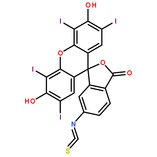 ERYTHROSIN B ISOTHIOCYANATE, ISOMER II 