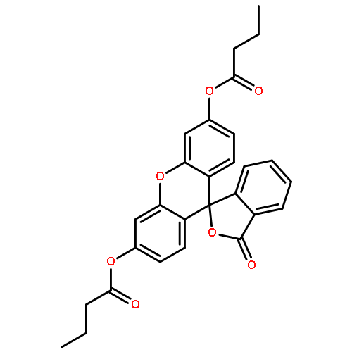 FLUORESCEIN DIBUTYRATE 