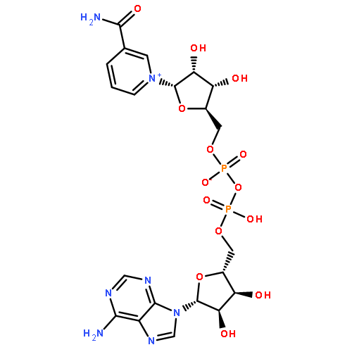 N-[4-(-CARBOXYCYCLOHEXYLMETHYL)]MALEIMIDE 