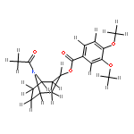 convolicine