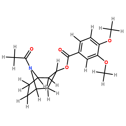 convolicine