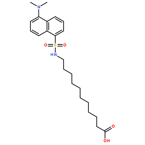 11-((5-DIMETHYLAMINONAPHTHALENE-1-SULFONYL) AMINO)UNDECANOIC ACID;DAUDA 