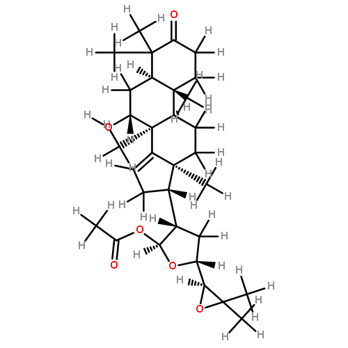 chisocheton A