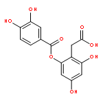 BENZENEACETIC ACID, 2-[(3,4-DIHYDROXYBENZOYL)OXY]-4,6-DIHYDROXY-