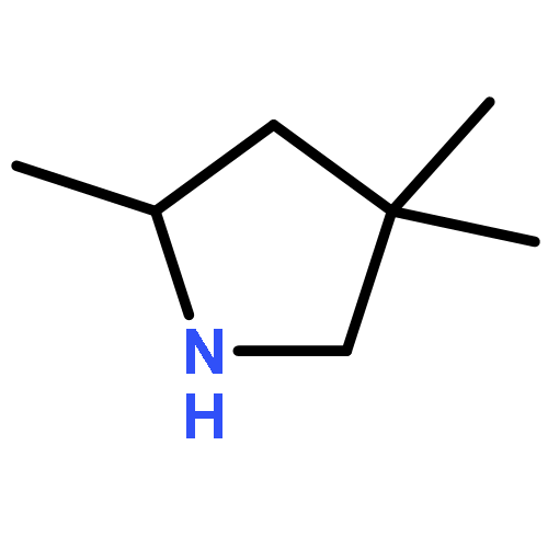 2,4,4-TRIMETHYL-PYRROLIDINE 