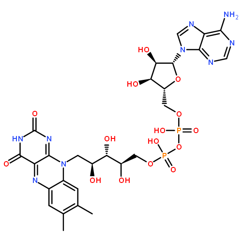 Adenine-flavine dinucleotide