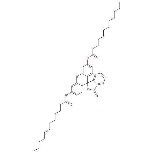 FLUORESCEIN DILAURATE 