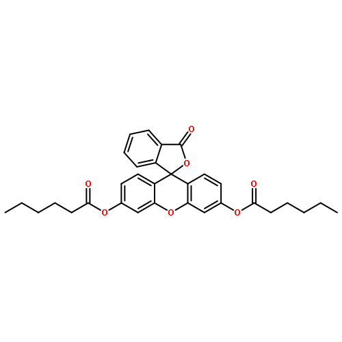 FLUORESCEIN DICAPROATE 