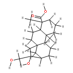 16,17-dihydroxy-ent-kauran-19-oic acid