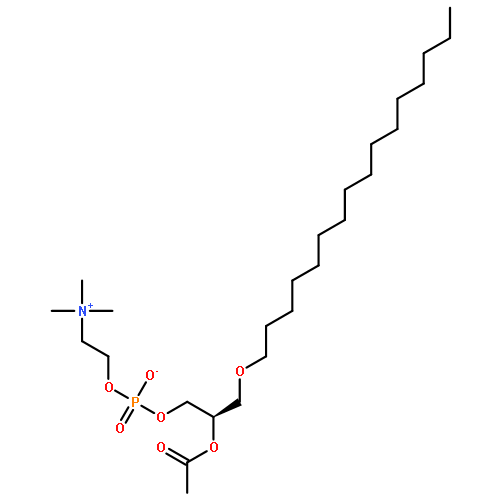 PAF (C16);(7R)-7-(ACETYLOXY)-4-HYDROXY-N,N,N-TRIMETHYL-3,5,9-TRIOXA-4-PHOSPHAPENTACOSAN-1-AMINIUM-4-OXIDE 