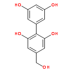 [1,1'-Biphenyl]-2,3',5',6-tetrol, 4-(hydroxymethyl)-