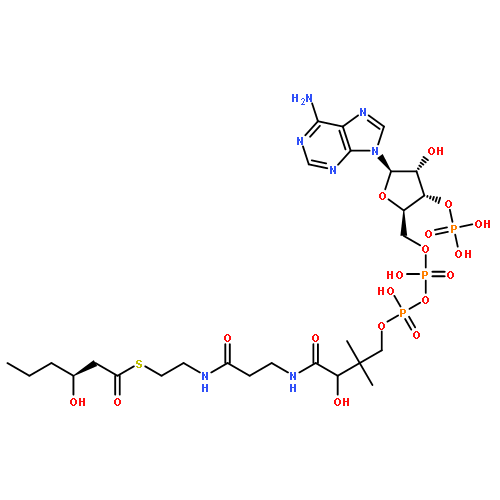 S-[2-[3-[[4-[[[(2R,3S,4R,5R)-5-(6-AMINOPURIN-9-YL)-4-HYDROXY-3-PHOSPHONOOXYOXOLAN-2-YL]METHOXY-HYDROXYPHOSPHORYL]OXY-HYDROXYPHOSPHORYL]OXY-2-HYDROXY-3,3-DIMETHYLBUTANOYL]AMINO]PROPANOYLAMINO]ETHYL] (3S)-3-HYDROXYHEXANETHIOATE