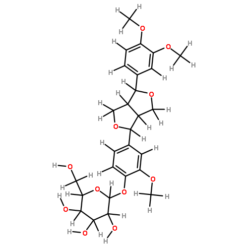 phyllirin