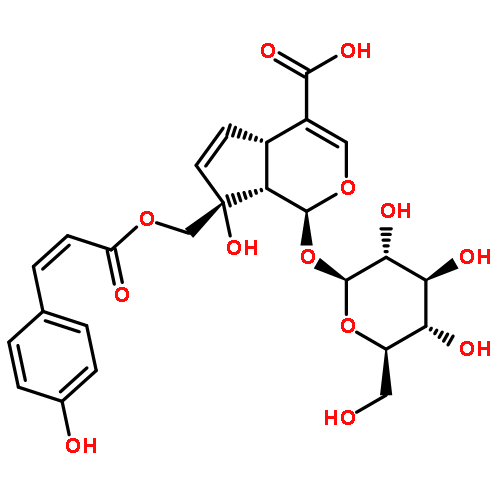 (1S,4aS,7R,7aS)-1-(beta-D-glucopyranosyloxy)-7-hydroxy-7-({[(2Z)-3-(4-hydroxyphenyl)prop-2-enoyl]oxy}methyl)-1,4a,7,7a-tetrahydrocyclopenta[c]pyran-4-carboxylic acid